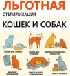 Месячник льготной стерилизации домашних животных