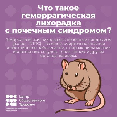 Меры профилактики геморрагической лихорадки с почечным синдромом.