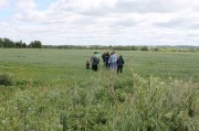 IMG_8564.JPG
