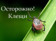 Объявление