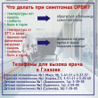 Заболели? Действуйте правильно!!!