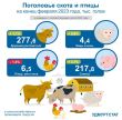 Поголовье скота и птицы на конец февраля 2023 года