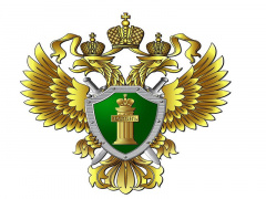 Разъяснение закона о хищениях в учреждениях Разъяснение закона о хищениях в учреждениях