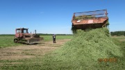 IMG_6667.JPG