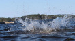 Купание в открытых водоемах