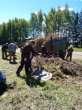 Субботник на Карасевском кладбище
