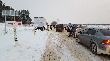 30 ноября 2016 года в с. Октябрьский Глазовского района проведены полномасштабные учебно-тренировочные мероприятия по локализации и ликвидации условного очага  африканской чумы свиней