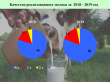 Еще раз об итогах 2019 года и о качестве молока.