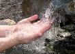 Неужели закончилась вода в роднике?