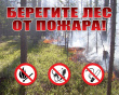 Особый противопожарный режим в лесах