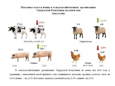 Средние потребительские цены на нефтепродукты  (бензин и дизельное топливо)