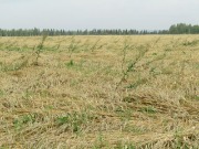 IMG_1447.JPG