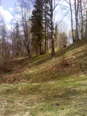 Соблюдайте правила пожарной безопасности в лесах Соблюдайте правила пожарной безопасности в лесах