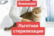 Объявление