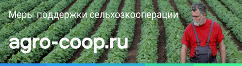 Сельский туризм